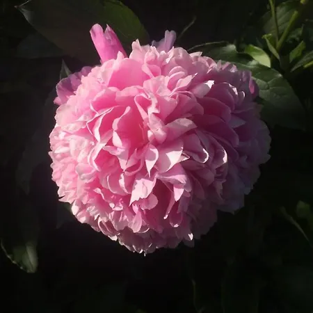 L'approdo 2 3* Casalnuovo Di Napoli