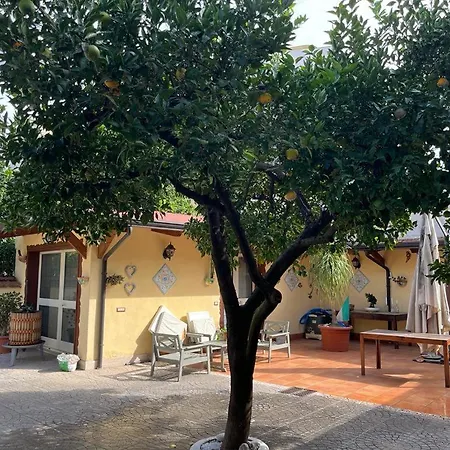 L'approdo 2 *